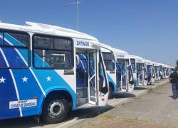 Fotografía de cerca de una decena de buses de transporte público en Guayaquil.