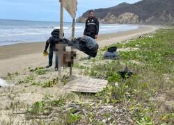 Cinco cabezas fueron halladas en Puerto López.