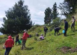 La reforestación de especies nativas es una acción clave para la generación de oxígeno, contribuir a la lucha del cambio climático y preservar la seguridad alimentaria de millones de personas.