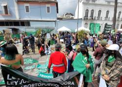 Grupos feministas en los exteriores de la Asamblea mientras se tramitaba el proyecto en la Asamblea.