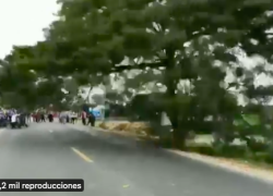 Manifestantes talaron un árbol para cerrar la vía Daule- Salitre.