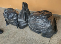 Huesos encontrados en un plantel educativo.