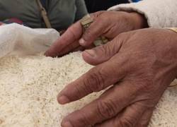 Glosas por más de $ 5 millones en Unidad Nacional de Almacenamiento por contratos de compraventa de arroz