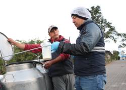 Más de 70.000 litros de leche cruda fueron controladas en operativos realizados en tres provincias de la Sierra.