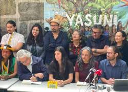 Activistas ambientales celebran aprobación de consulta popular sobre explotación petrolera en el Parque Nacional Yasuní