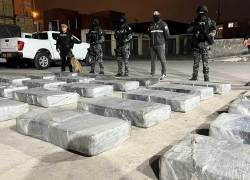 Las operaciones Bremen han contado con información del Plan de Recompensas.