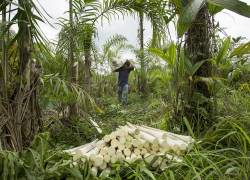 Varias empresas agroalimentarias buscan promover las exportaciones en este destino.