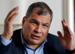 Hacer toda esta payasada en función de las declaraciones de un delincuente confeso como Daniel Salcedo es algo inaudito, dijo Correa.