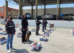 Incautción de droga realizada en junio pasado en Guayaquil.