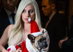 La cantante y actriz Lady Gaga, junto a uno de sus perros.