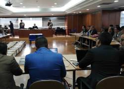 En la audiencia del Caso Metástasis, la fiscal Lidia S. dio su testimonio anticipado como testigo protegido.