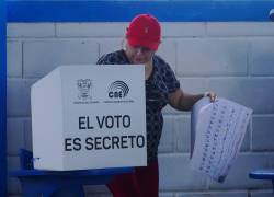 El CNE convoca a la ciudadanía ecuatoriana, a título individual o con el auspicio de organizaciones sociales,a postularse.