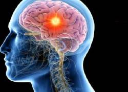 El método desarrollado podría utilizarse para otras enfermedades neurodegenerativas, como el Parkinson.
