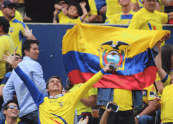 COE aprueba que 'La Tri' juegue las eliminatorias con público