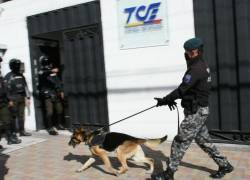 La Policía antiexplosivos acudió a las instalaciones del TCE.