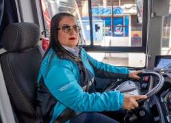 Entre los requisitos se pide tener la licencia profesional tipo E vigente.