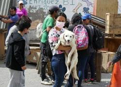 Casas de perros, pallets, techos de zinc, entre otros materiales, fueron movilizados mediante una minga.