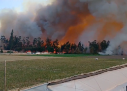 Gran incendio en Tababela y Puembo, a las afueras de Quito