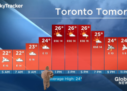 Un perro se cuela en la información meteorológica de una cadena de televisión de Canadá