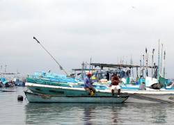 Pescadores se ven afectados con la llegada del fenómeno del niño, la alta temperatura del mar disminuye la pesca.