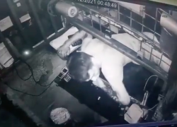 El video se ha vuelto viral en rede sociales.