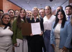 La legisladora presentó su reforma junto a la bancada de Acción Democrática Nacional (ADN).