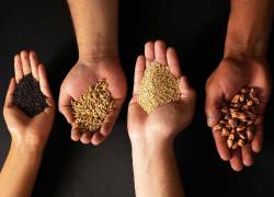 El envío de las semillas busca fortalecer la seguridad y preservación de los recursos genéticos del país a nivel global.