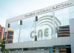 Movimiento político de Correa presenta 200.000 firmas, que serán revisadas por el CNE