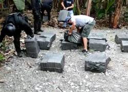 Ecuador descubre 1,2 toneladas de cocaína escondidas entre la vegetación en Milagro