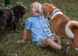 Los perros ayudan a reducir los niveles de estrés en niños