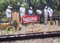 En una de las fincas de Plan Cacao el presidente ejecutivo de Nestlé Ecuador, Christof Leuenberger, hizo la siembra del primer árbol.