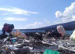 Foto cedida del 27 de marzo que muestra una jornada de recolección de basura en la Isla Isabela, en la que participó personal del Parque Nacional Galápagos, pescadores y voluntarios, que retiraron 3,6 toneladas de basura en la costa este de la isla.