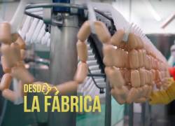 Nuevo capítulo de Desde la Fábrica sobre cómo se elaboran los embutidos que llegan a todos los hogares ecuatorianos.