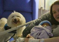 Mujer dio a luz acompañada por su perro de asistenica