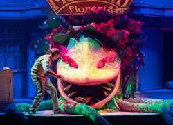 La historia combina humor negro, romance, ciencia ficción y música para narrar cómo una planta cambia la vida de un joven florista.