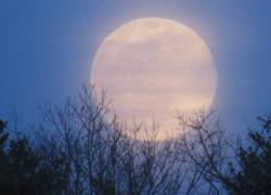 La Superluna de octubre 2025 será más grande y más brillante.