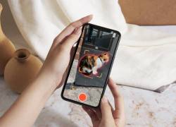 Imagen referencial de la app Cat Collector.