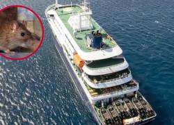 El crucero MV Hondius, afectado por un brote de hantavirus.