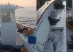 Imágenes de la Operación Amatista.