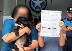 Caso Isla Puná: colectivo presentó denuncia por maltrato animal ante autoridades municipales