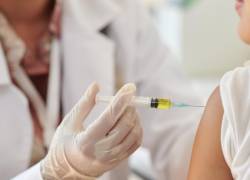 Un brote de influenza alerta a la ciudadanía.