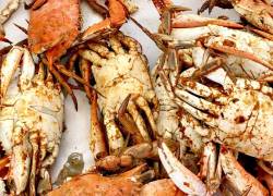 Foto referencial de la veda de cangrejo.