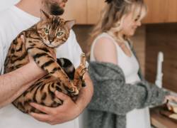 ¿Cómo cargar a tu gato sin lastimarlo? Lo que debes evitar según expertos