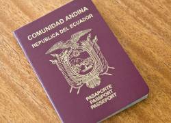 Los ecuatoriano podrán visitar países de Sudamérica, El Caribe, América Central, Asia, Oriente Medio, África y Europa sin visa.