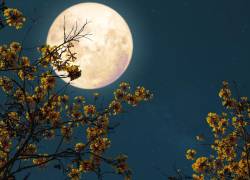 Imagen referencial sobre lo que podría observarse como Luna de Fresa.