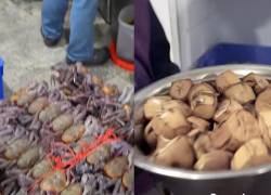 Usuarios reportaron malestares estomacales luego de consumir alimentos en el local.