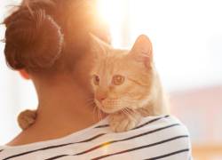 Una mujer se reencuentra con su gato 17 años después de perderlo en Francia