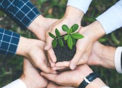 Iniciativa Darwin 2026: Cómo postular a los fondos del Reino Unido para proyectos ambientales en Ecuador