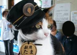 El adiós a una leyenda: la gata que salvó de la quiebra a una línea de tren en Japón