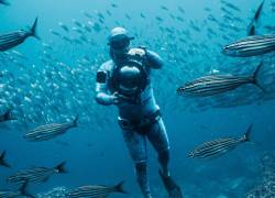 Apnea en Ecuador: ¿Cómo es la experiencia de explorar el océano a puro pulmón?